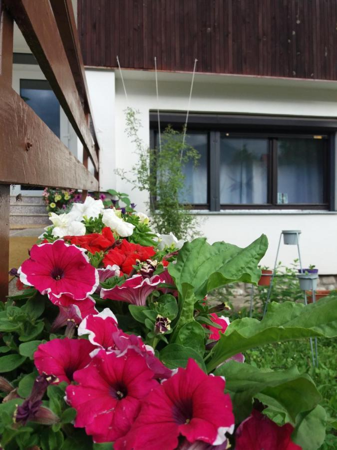 Privat Tatry Dreams Hotel Nová Lesná Eksteriør billede