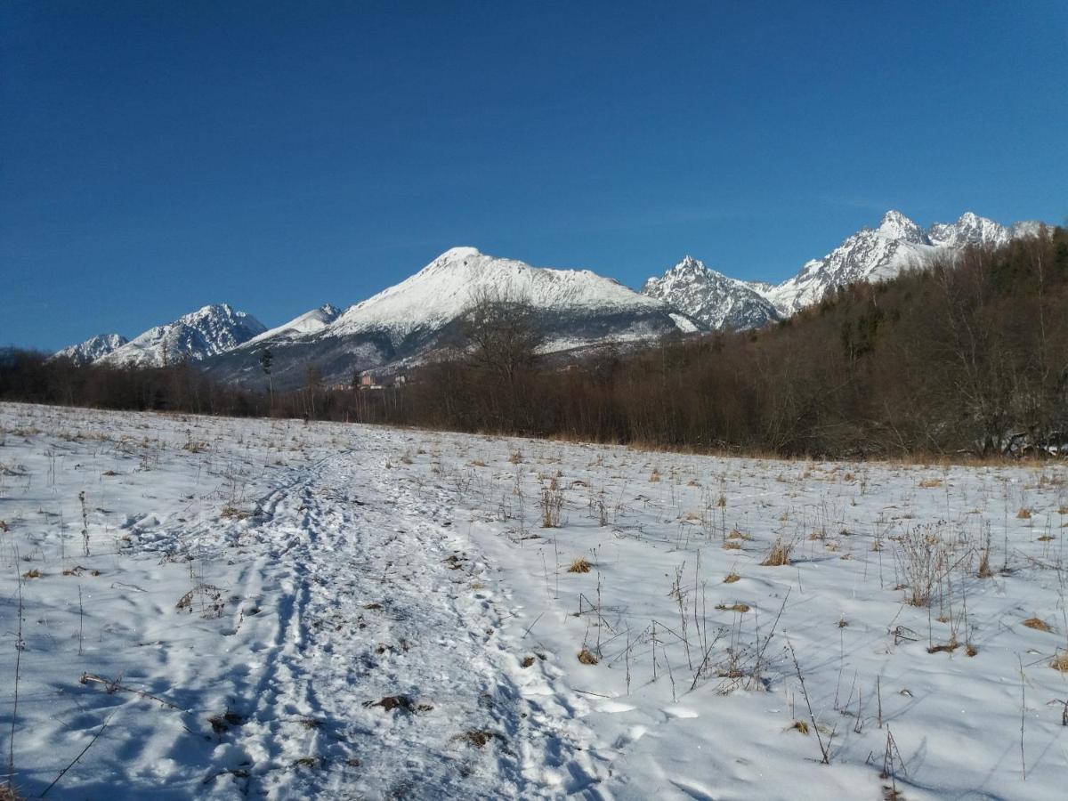 Privat Tatry Dreams Hotel Nová Lesná Eksteriør billede