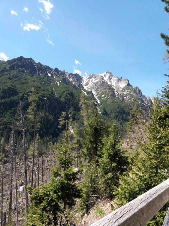Privat Tatry Dreams Hotel Nová Lesná Eksteriør billede